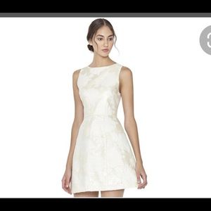 Alice + Olivia mea jacquard dress